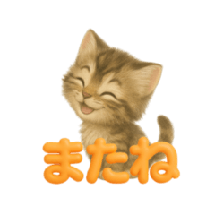 [LINEスタンプ] ねこちゃんの日常で使えるスタンプ