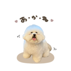 [LINEスタンプ] くるみちゃん♡mix