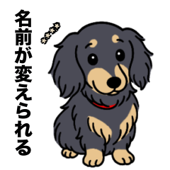 [LINEスタンプ] 名前入りダックスロングブラックイエロー