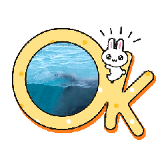 [LINEスタンプ] イルカ・シャチ 