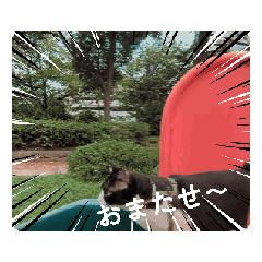 [LINEスタンプ] ハチコ多め