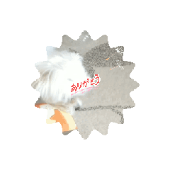 [LINEスタンプ] チロの夏休み 