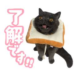 [LINEスタンプ] リアルロワの日常LINEスタンプ