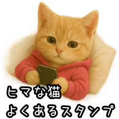 [LINEスタンプ] 毎日使えるスタンプ！ヒマな猫