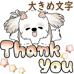 [LINEスタンプ] シーズー犬 「毎日送りやすい大きめ文字」