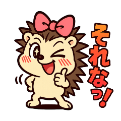 [LINEスタンプ] ドジ可愛ハリネズミ＊ピッピ毎日スタンプ1