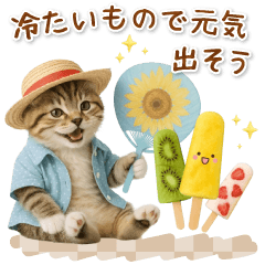 [LINEスタンプ] ⚡とびだす！にゃんこの「夏」の毎日