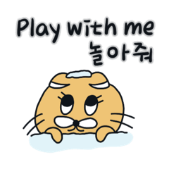 [LINEスタンプ] 月猫の冬物語(韓国語 - 英語) 