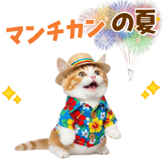 [LINEスタンプ] 見やすい！でか文字マンチカンの夏