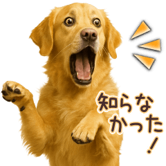 [LINEスタンプ] ゴールデンレトリバー☆即返信リアクション