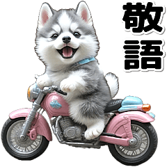 [LINEスタンプ] 敬語♡バイク好き シベリアンハスキー