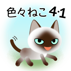 [LINEスタンプ] 色々な猫4-1 短毛-立ち耳-シャム