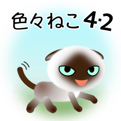 [LINEスタンプ] 色々な猫4-2 短毛-垂れ耳-シャム