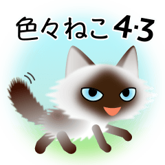 [LINEスタンプ] 色々な猫4-3 長毛-立ち耳-シャム