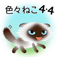 [LINEスタンプ] 色々な猫4-4 長毛-垂れ耳-シャム