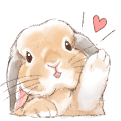 [LINEスタンプ] 日常使い「垂れ耳うさぎ（オレンジ）」