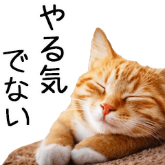 [LINEスタンプ] やる気がない☆にゃんこ