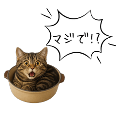 [LINEスタンプ] わが家の鍋ねこ
