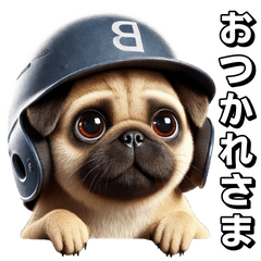 [LINEスタンプ] パグ×野球！可愛すぎる！