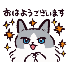 [LINEスタンプ] ラグドールです。2