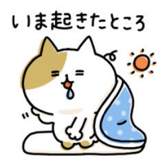 [LINEスタンプ] ゆるゆるニャンコの状況報告
