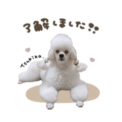 [LINEスタンプ] つきかちゃん♡スタンダード