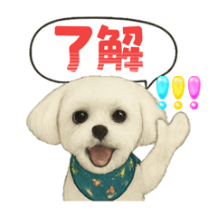 [LINEスタンプ] マルチーズあつし スタンプ