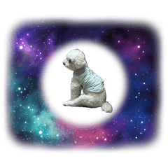 [LINEスタンプ] 無重力の犬Zero-Gravity Dog