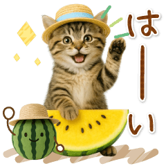 [LINEスタンプ] ▶動く癒しにゃんこの「夏」の毎日