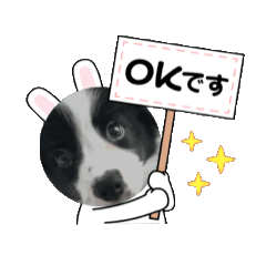 [LINEスタンプ] ボーダーコリーのLUCYちゃん 