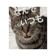 [LINEスタンプ] ハッピー＆ラッキー ⑧