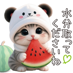 [LINEスタンプ] パンダ帽が可愛い猫 キュートな夏 敬語