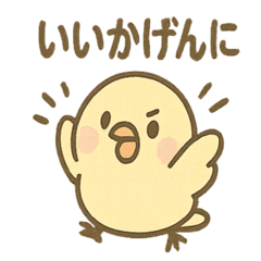 [LINEスタンプ] ふんわりことりさんの毎日あいさつ