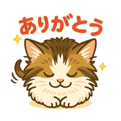 [LINEスタンプ] 日常会話スタンプ(のるくん・えるちゃん) 