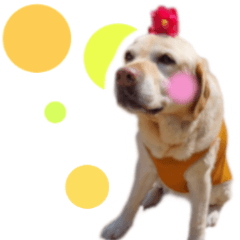 [LINEスタンプ] わんダフル マーチ2