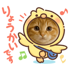 [LINEスタンプ] “Kawaii Cats”
