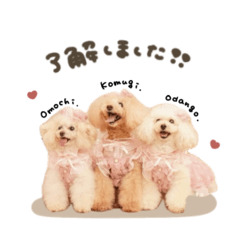 [LINEスタンプ] こむぎ.おもち.おだんごちゃんst