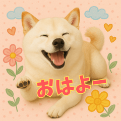 [LINEスタンプ] ほっこり白柴の日常