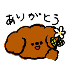 [LINEスタンプ] ゆるゆるトイプードルちゃんスタンプ