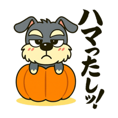 [LINEスタンプ] シュナウザーの日常.秋ツンデレ顔でかver.
