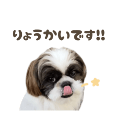 [LINEスタンプ] ひいろくん☆定型文字