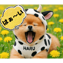 [LINEスタンプ] 野生どうぶつ発見！！
