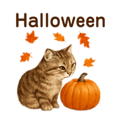 [LINEスタンプ] 秋の花を贈るねこ♡Halloween Autumn cat
