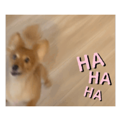 [LINEスタンプ] 冬生まれのサマーくん2 