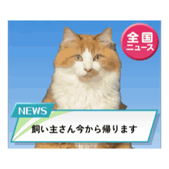 [LINEスタンプ] 我が家の日常スタンプ♡ 