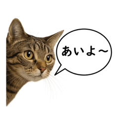 [LINEスタンプ] いろんな生き物の横顔スタンプ 76