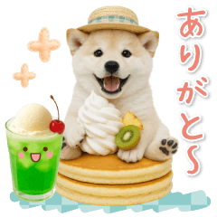 [LINEスタンプ] ⚡飛び出す柴犬の「夏」の毎日