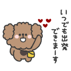 [LINEスタンプ] 待ち合わせ連絡◎トイプードルさん #1