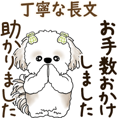 [LINEスタンプ] 動くシーズー犬 2025 「丁寧な長文」19