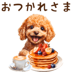 [LINEスタンプ] トイプードルゆるっと毎日アニメーション